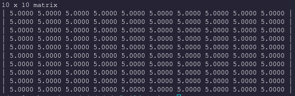10 by 10 matrix of 5's
